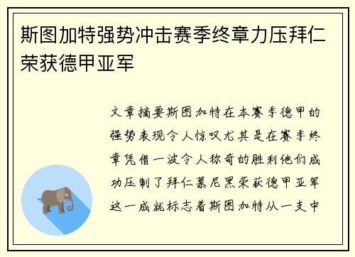 斯图加特强势冲击赛季终章力压拜仁荣获德甲亚军